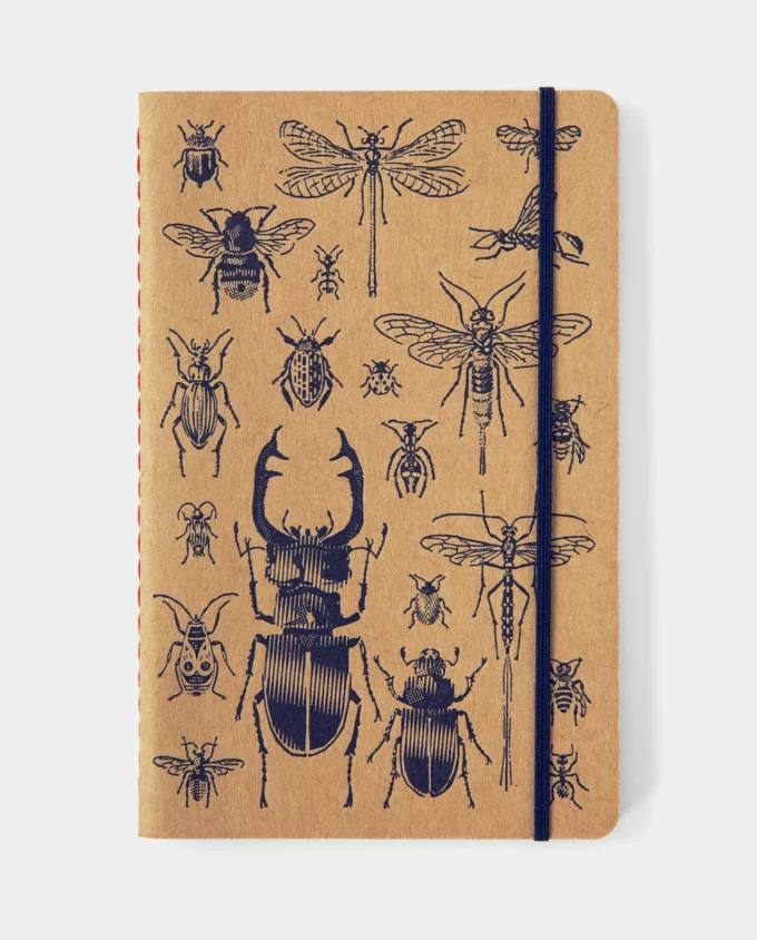 zápisník – hmyz