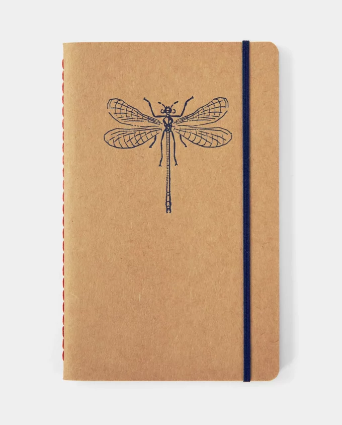 zápisník – vážka